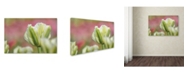 Trademark Global Cora Niele 'White and Green Tulip' Canvas Art - 24" x 16" x 2"